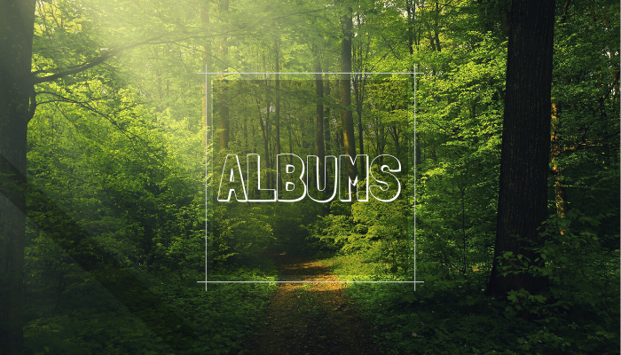 Spring albums